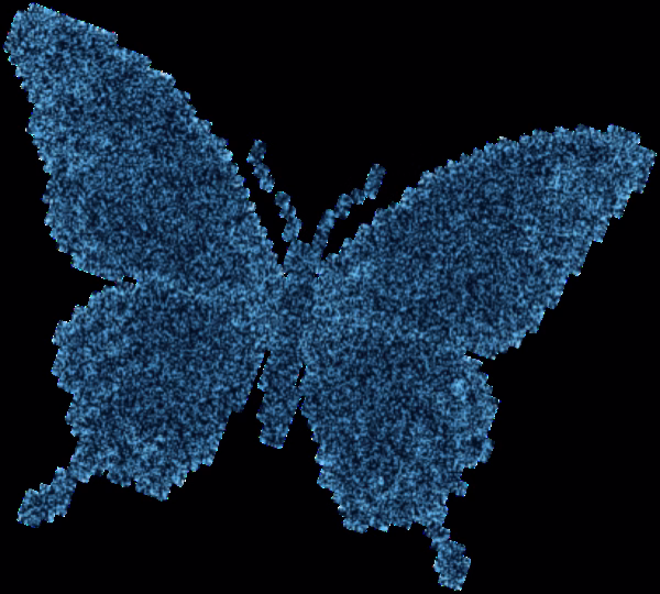 Butterfly Image 12