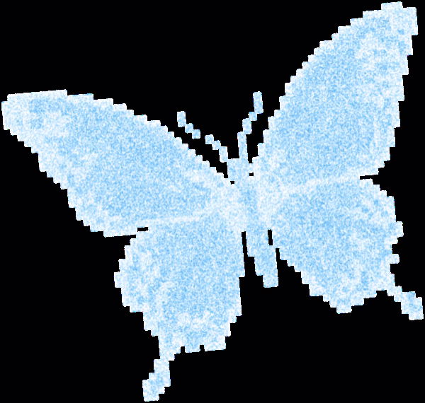 Butterfly Image 13
