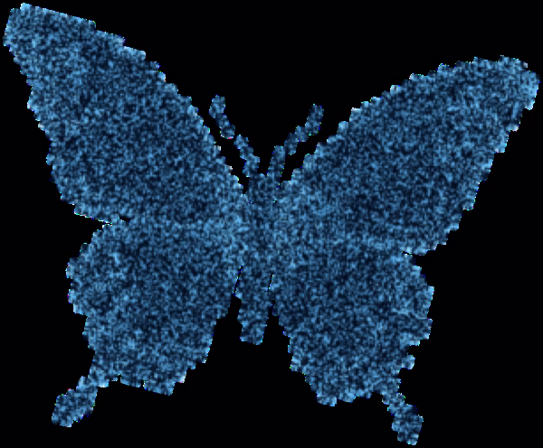 Butterfly Image 14